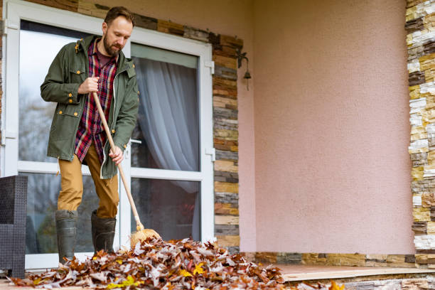 Best Estate Cleanout Services  in Ddleville, MI